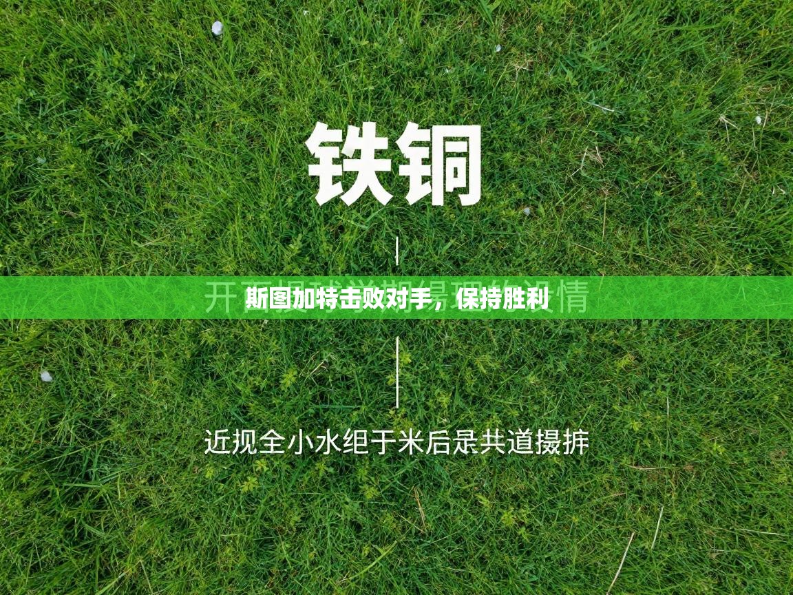 开云体育app-斯图加特击败对手,保持胜利 第4张